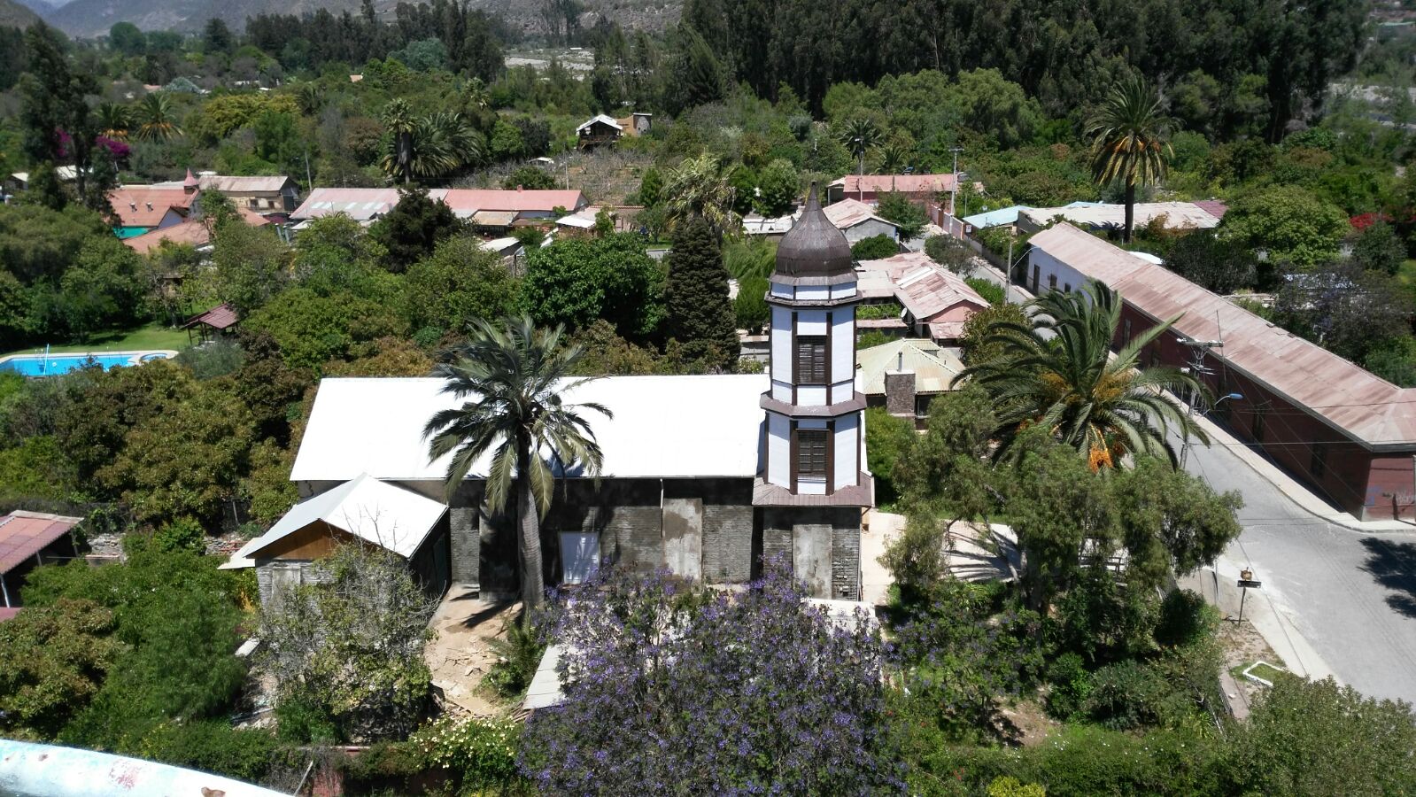 imagen Vicuña