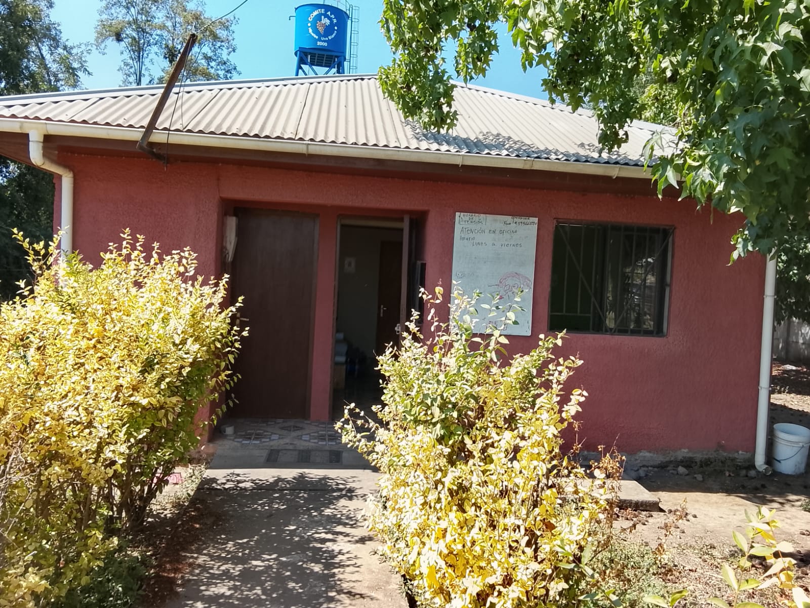 APR "Hijuelas-Uva Blanca"